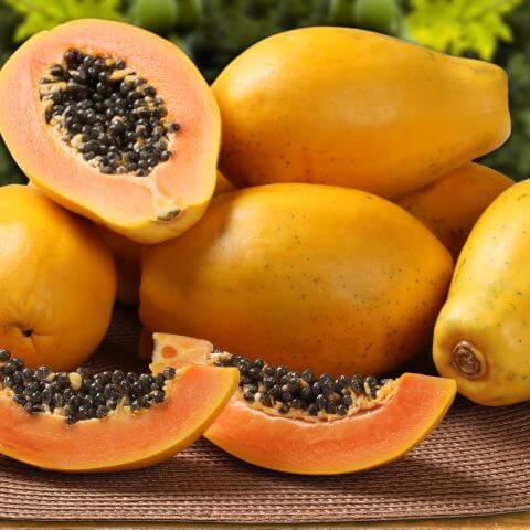 Papaya